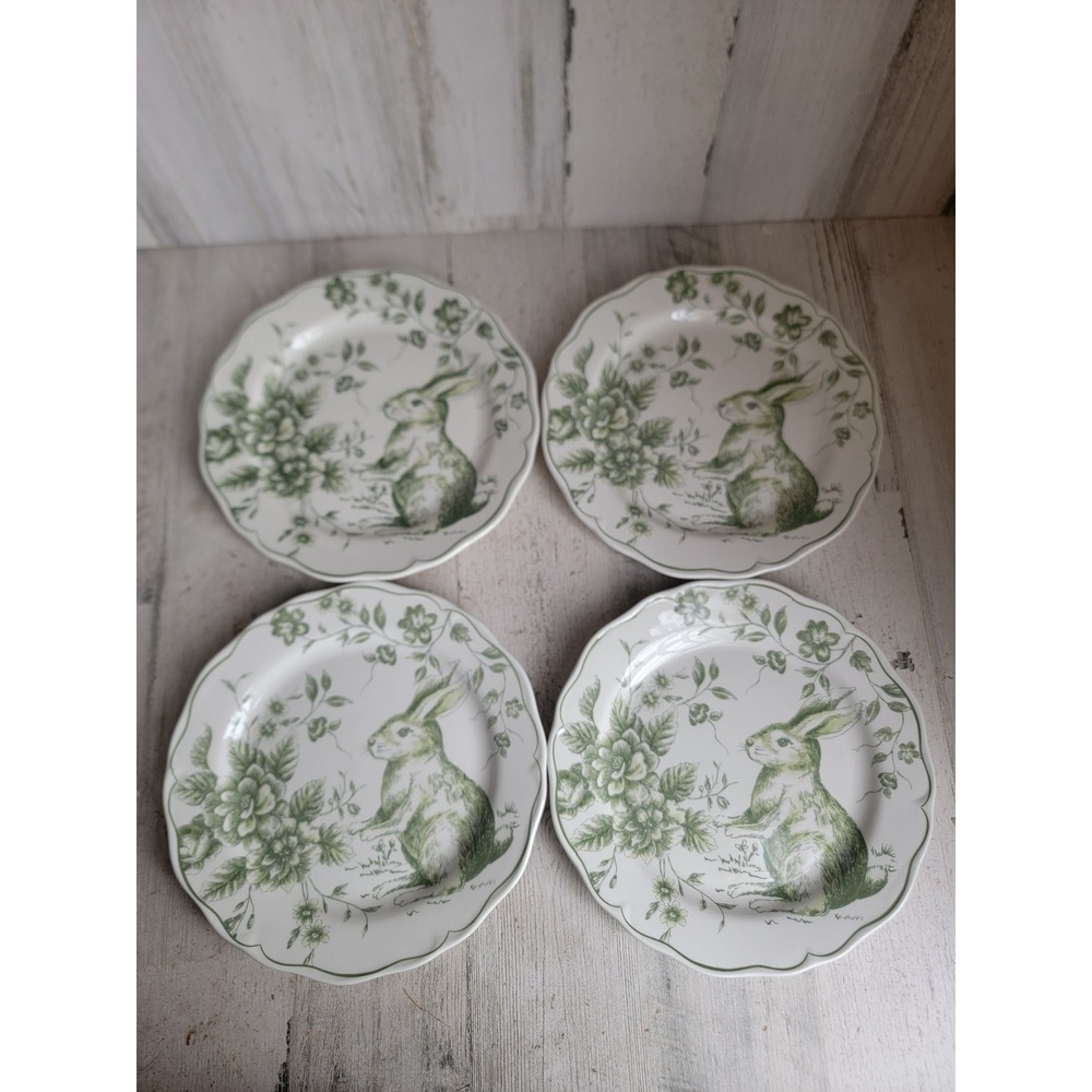 Maxcera Easter bunny green floral‎ 9" plate set rabbit spring kitchen home decor